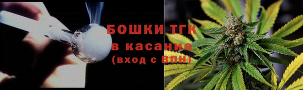 СК Кодинск